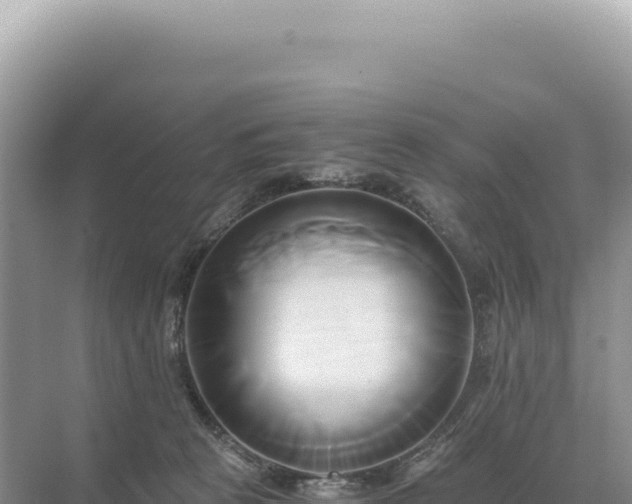 X0000071380273200606301817