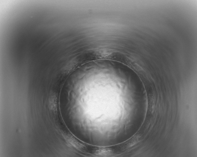 X0000071380274200606301818