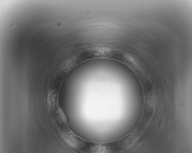 X0000071380276200606301818