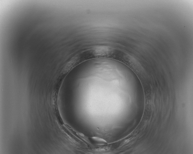 X0000071380277200606301818