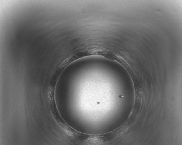 X0000071380280200606301818