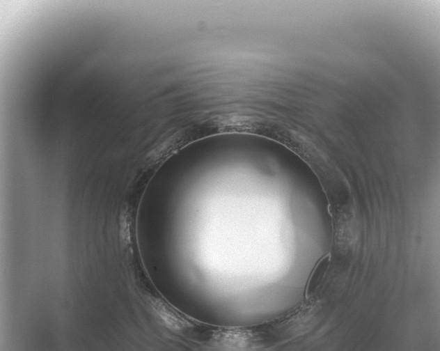 X0000071380282200606301818