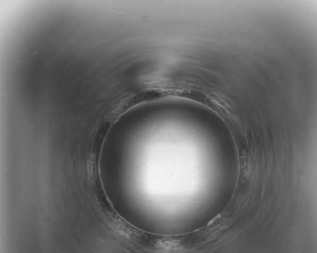 X0000071380283200606301818