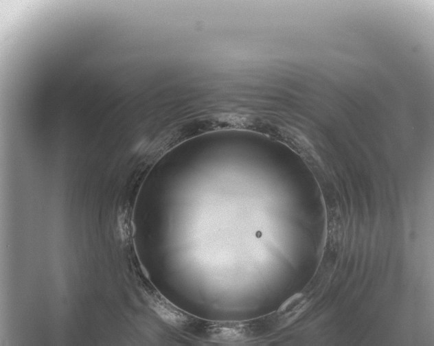 X0000071380285200606301818