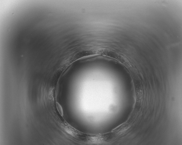 X0000071380286200606301818