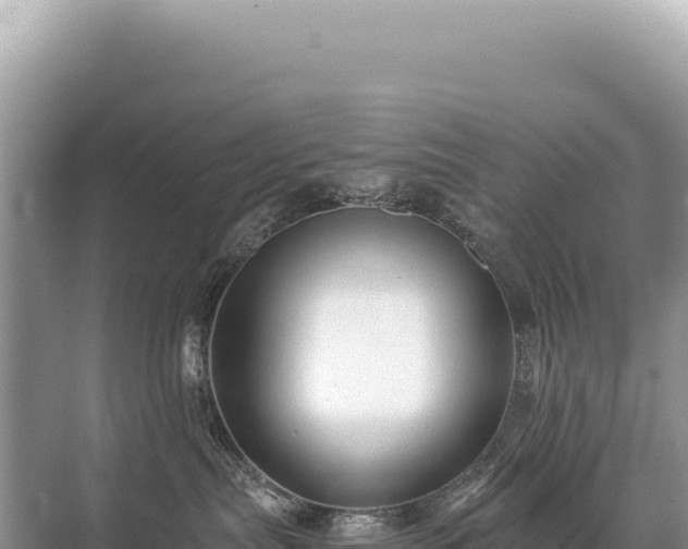 X0000071380287200606301818