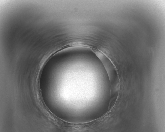 X0000071380289200606301817