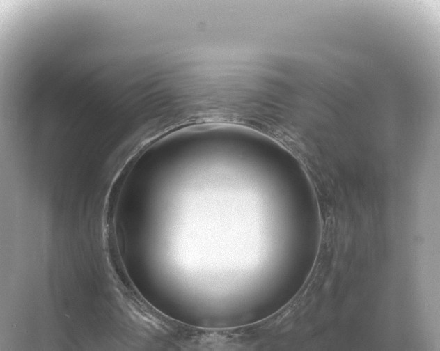 X0000071380290200606301817