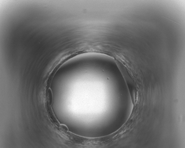 X0000071380291200606301817