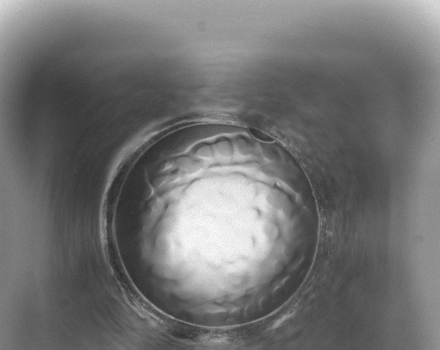 X0000071380294200606301817