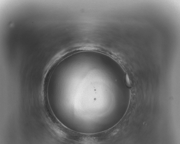 X0000071380296200606301817