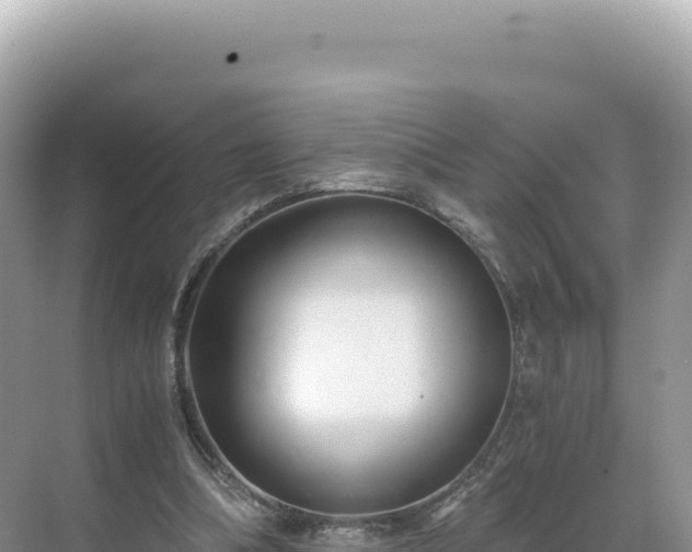 X0000071380298200606301817