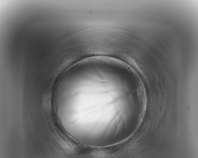 X0000071380299200606301817