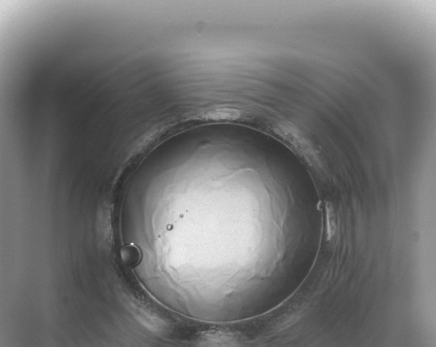 X0000071380300200606301817