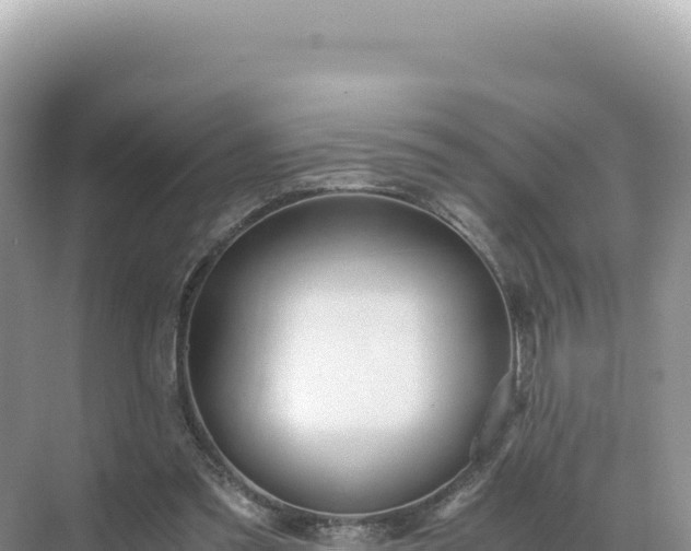 X0000071380301200606301817