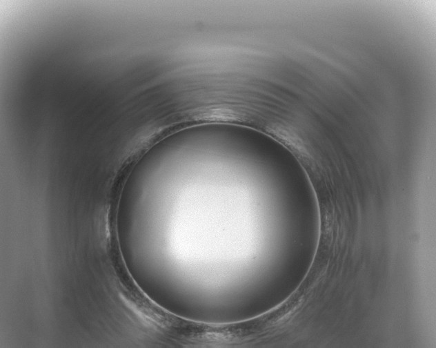 X0000071380302200606301817