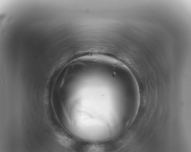 X0000071380303200606301817