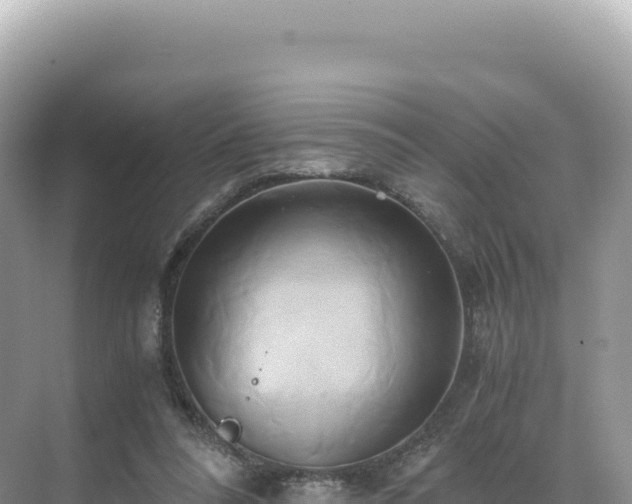 X0000071380304200606301817