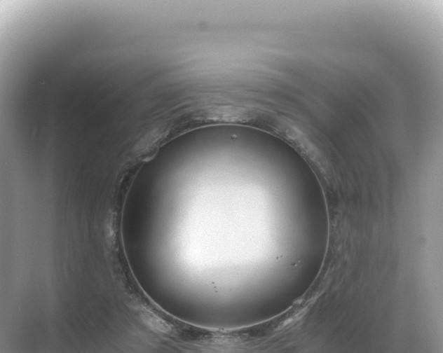 X0000071380305200606301817