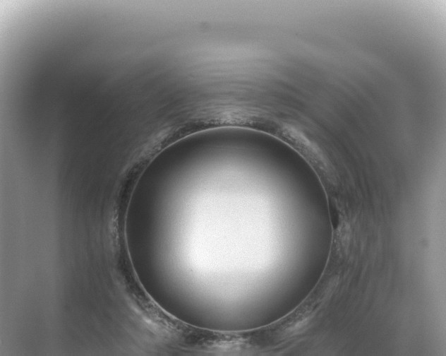 X0000071380306200606301817