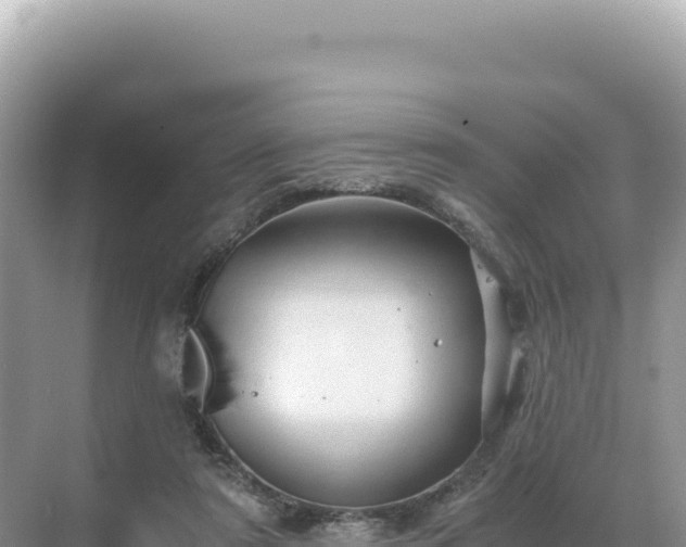 X0000071380307200606301817