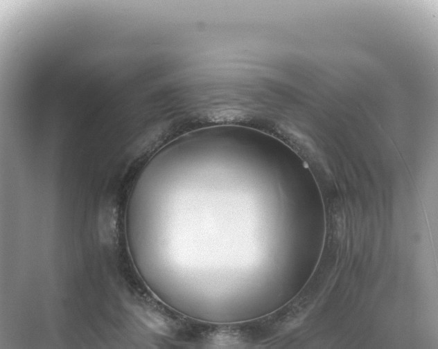 X0000071380308200606301817