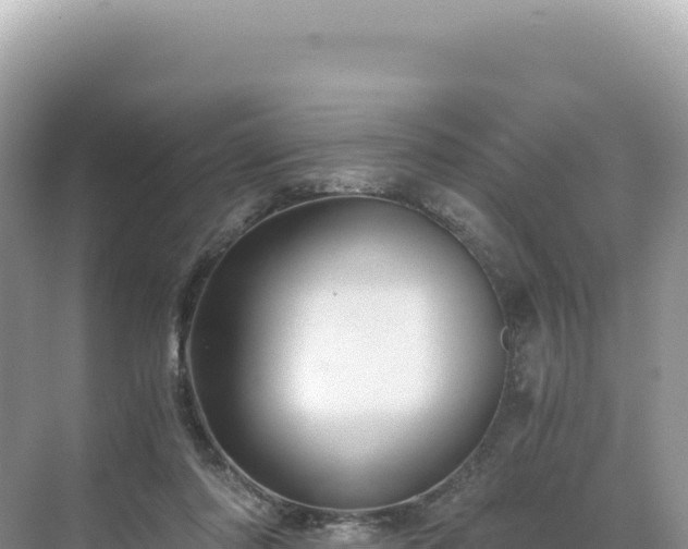 X0000071380310200606301817