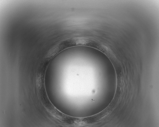 X0000071380311200606301817