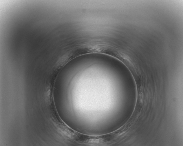 X0000071380314200606301816