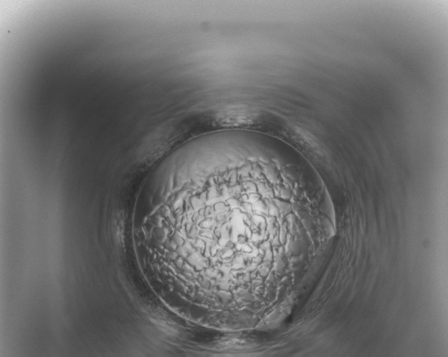 X0000071380315200606301816