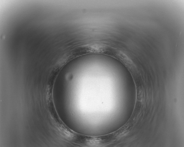 X0000071380318200606301816