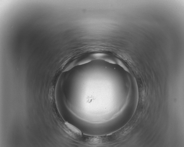 X0000071380325200606301816