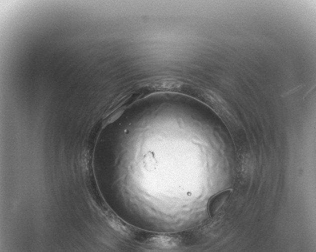 X0000071380326200606301816