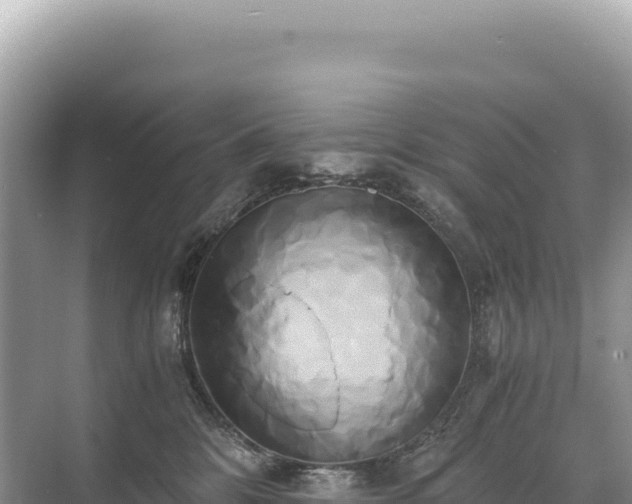 X0000071380328200606301816