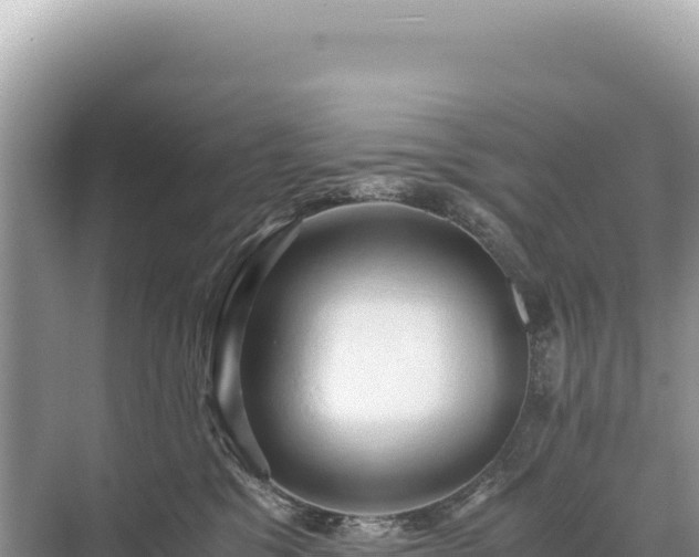 X0000071380329200606301816