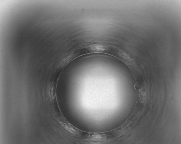 X0000071380330200606301816