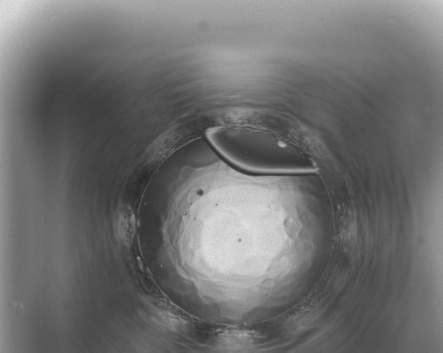 X0000071380332200606301816