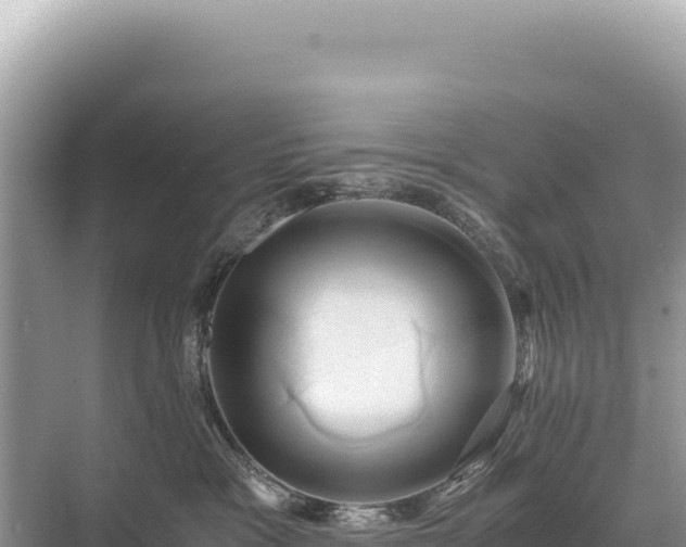 X0000071380333200606301816