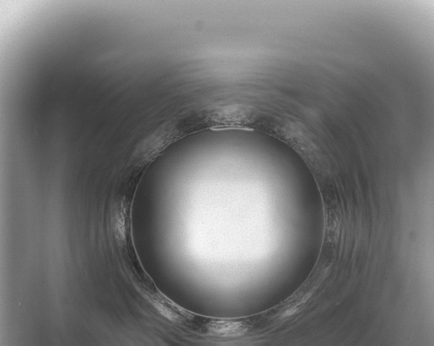 X0000071380334200606301816