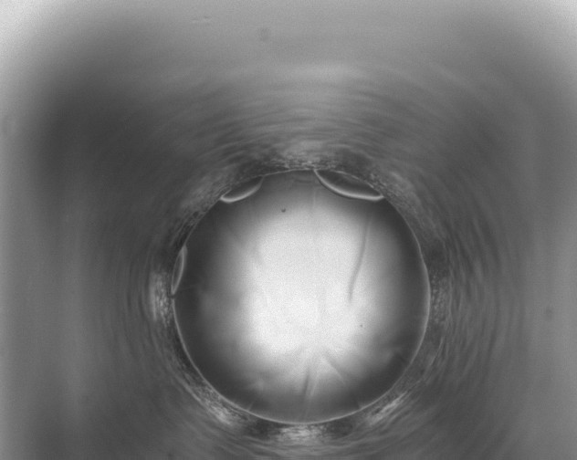 X0000071380335200606301816