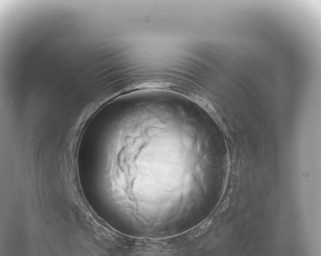 X0000071380337200606301815