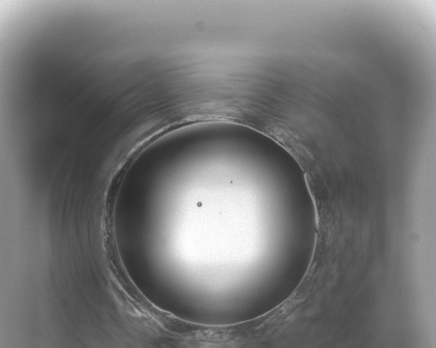 X0000071380338200606301815