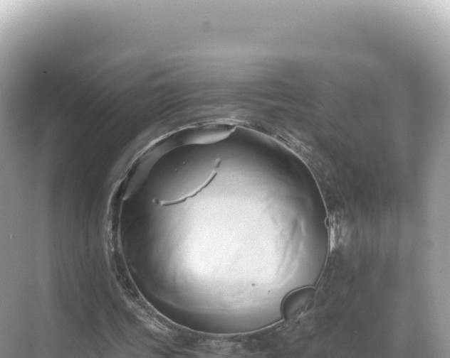 X0000071380339200606301815