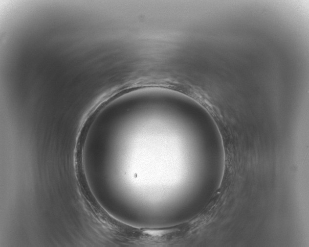 X0000071380340200606301815