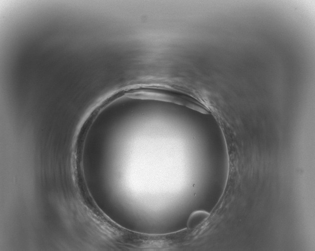 X0000071380342200606301815