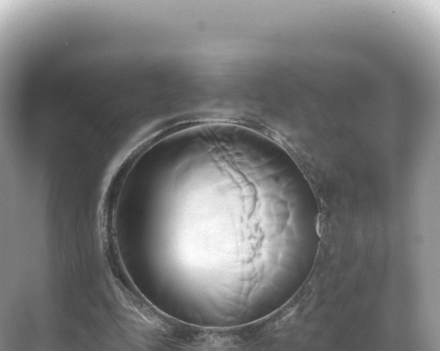 X0000071380343200606301815