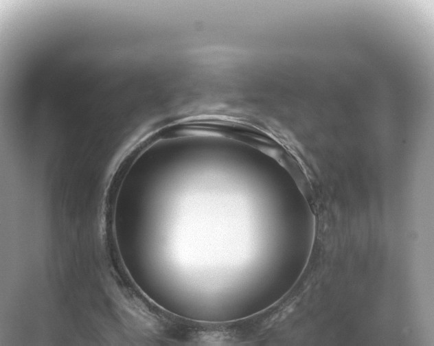 X0000071380344200606301815