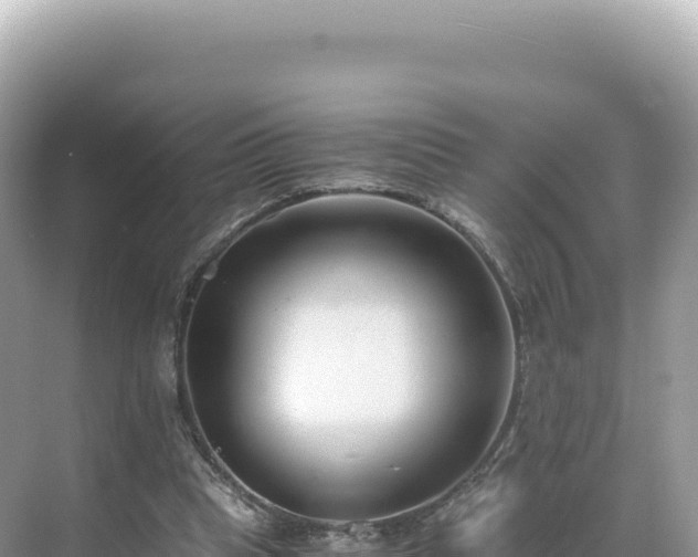 X0000071380345200606301815