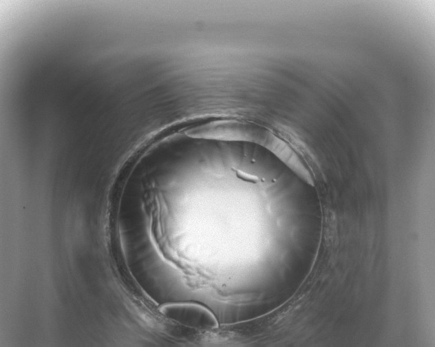 X0000071380346200606301815