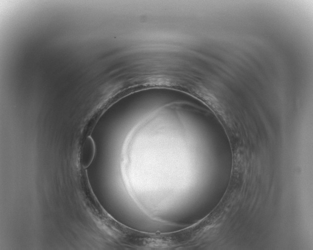 X0000071380347200606301815